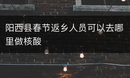 阳西县春节返乡人员可以去哪里做核酸