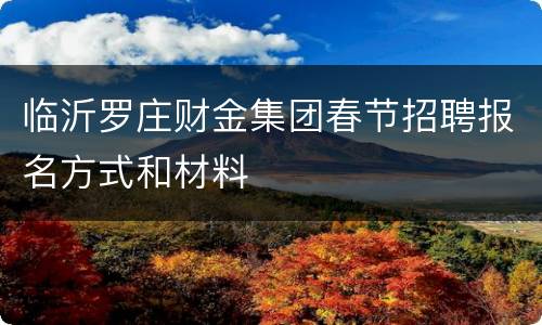 临沂罗庄财金集团春节招聘报名方式和材料
