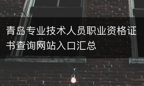 青岛专业技术人员职业资格证书查询网站入口汇总