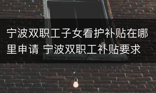 宁波双职工子女看护补贴在哪里申请 宁波双职工补贴要求