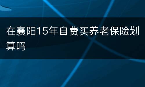 在襄阳15年自费买养老保险划算吗
