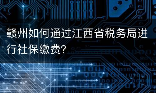 赣州如何通过江西省税务局进行社保缴费？