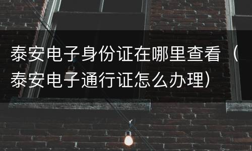 泰安电子身份证在哪里查看（泰安电子通行证怎么办理）