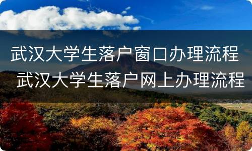 武汉大学生落户窗口办理流程 武汉大学生落户网上办理流程