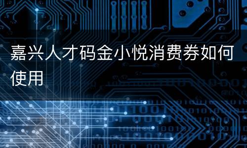 嘉兴人才码金小悦消费券如何使用