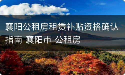 襄阳公租房租赁补贴资格确认指南 襄阳市 公租房