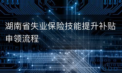 湖南省失业保险技能提升补贴申领流程