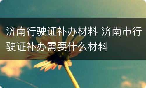济南行驶证补办材料 济南市行驶证补办需要什么材料