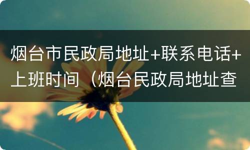 烟台市民政局地址+联系电话+上班时间（烟台民政局地址查询）