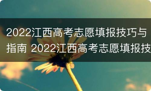 2022江西高考志愿填报技巧与指南 2022江西高考志愿填报技巧与指南答案