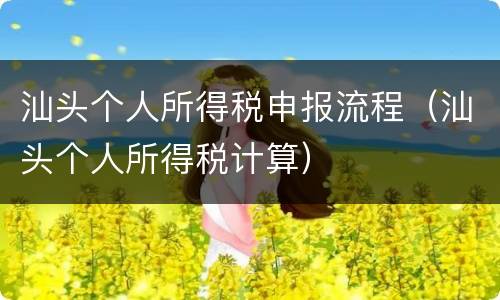 汕头个人所得税申报流程（汕头个人所得税计算）