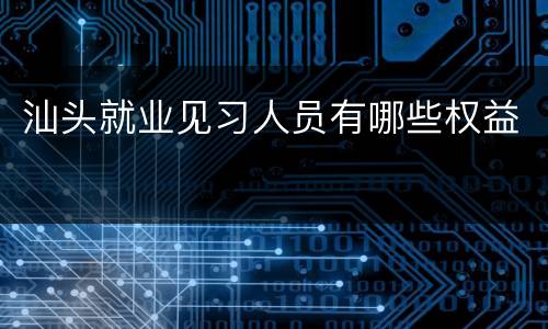 汕头就业见习人员有哪些权益