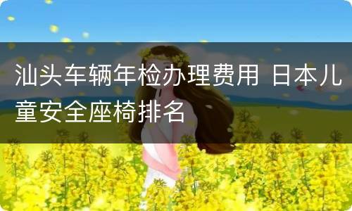 汕头车辆年检办理费用 日本儿童安全座椅排名