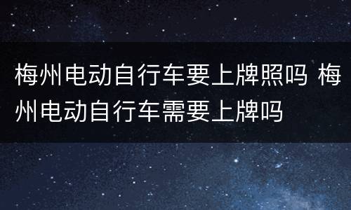 梅州电动自行车要上牌照吗 梅州电动自行车需要上牌吗