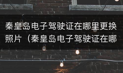 秦皇岛电子驾驶证在哪里更换照片（秦皇岛电子驾驶证在哪里更换照片啊）