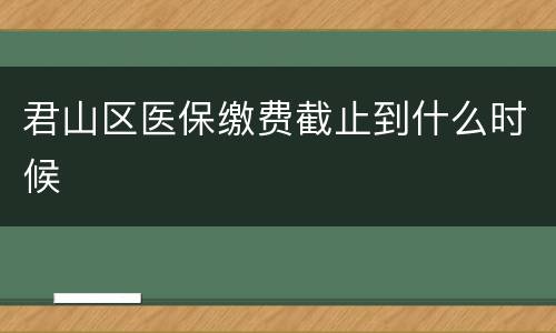 君山区医保缴费截止到什么时候