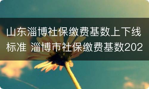 山东淄博社保缴费基数上下线标准 淄博市社保缴费基数2020/2021