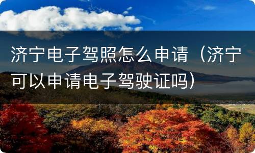 济宁电子驾照怎么申请（济宁可以申请电子驾驶证吗）