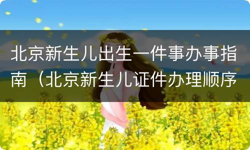 北京新生儿出生一件事办事指南（北京新生儿证件办理顺序）