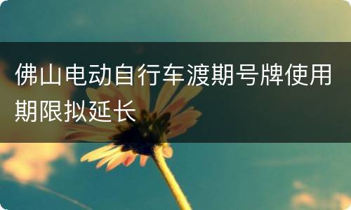 佛山电动自行车渡期号牌使用期限拟延长