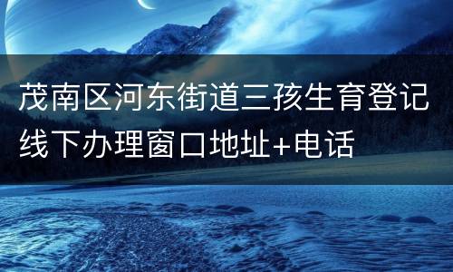 茂南区河东街道三孩生育登记线下办理窗口地址+电话