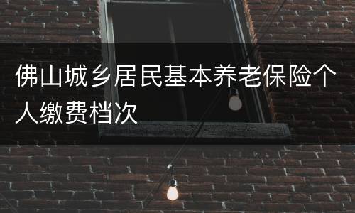 佛山城乡居民基本养老保险个人缴费档次