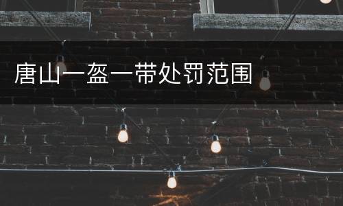 唐山一盔一带处罚范围