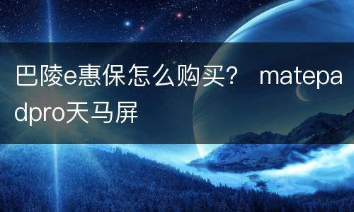 巴陵e惠保怎么购买？ matepadpro天马屏