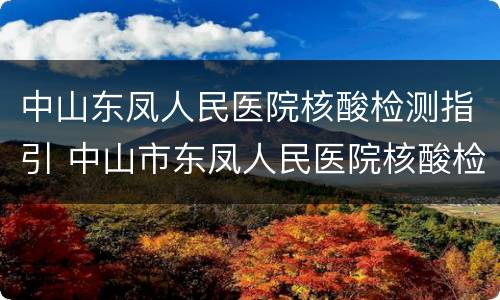 中山东凤人民医院核酸检测指引 中山市东凤人民医院核酸检测