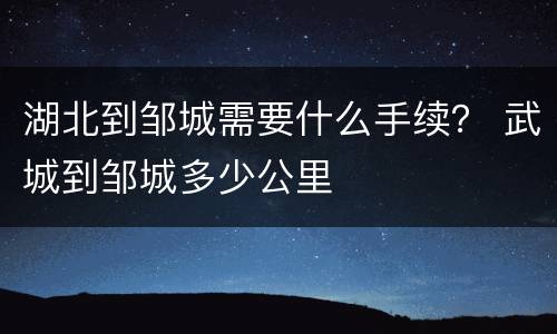 湖北到邹城需要什么手续？ 武城到邹城多少公里