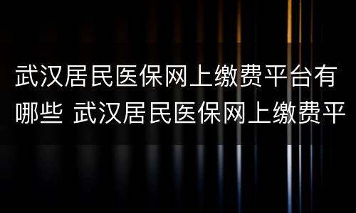 武汉居民医保网上缴费平台有哪些 武汉居民医保网上缴费平台有哪些功能