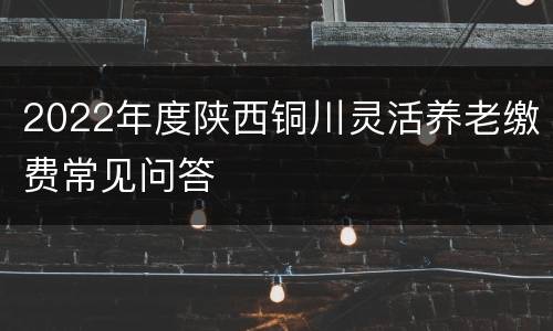 2022年度陕西铜川灵活养老缴费常见问答