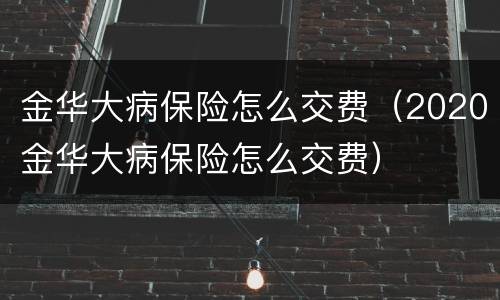 金华大病保险怎么交费（2020金华大病保险怎么交费）