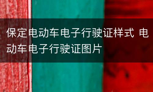 保定电动车电子行驶证样式 电动车电子行驶证图片