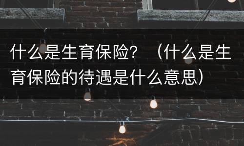 什么是生育保险？（什么是生育保险的待遇是什么意思）