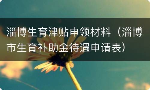 淄博生育津贴申领材料（淄博市生育补助金待遇申请表）
