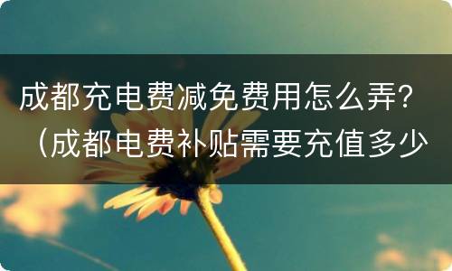 成都充电费减免费用怎么弄？（成都电费补贴需要充值多少才返利）