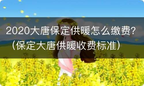 2020大唐保定供暖怎么缴费？（保定大唐供暖收费标准）