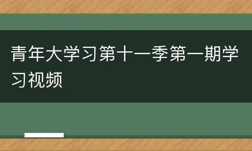 青年大学习第十一季第一期学习视频