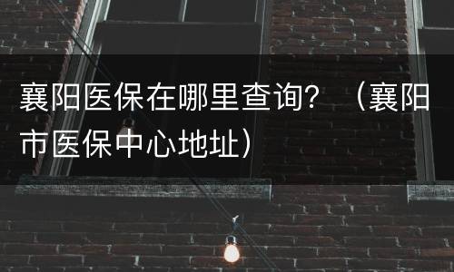 襄阳医保在哪里查询？（襄阳市医保中心地址）