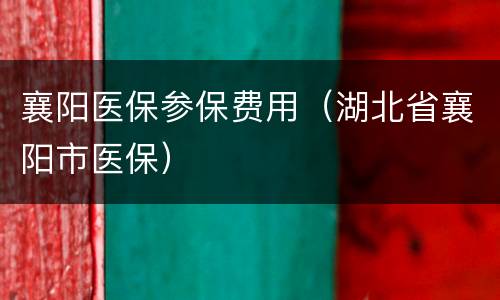 襄阳医保参保费用（湖北省襄阳市医保）