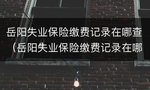 岳阳失业保险缴费记录在哪查（岳阳失业保险缴费记录在哪查看）