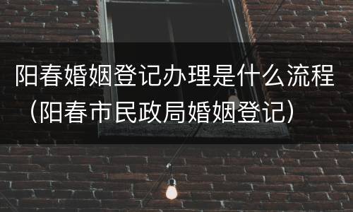 阳春婚姻登记办理是什么流程（阳春市民政局婚姻登记）