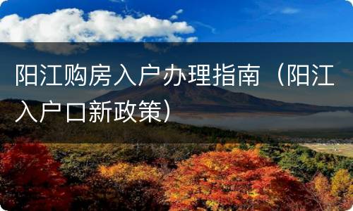 阳江购房入户办理指南（阳江入户口新政策）