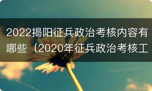 2022揭阳征兵政治考核内容有哪些（2020年征兵政治考核工作规定）