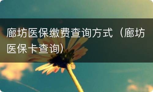 廊坊医保缴费查询方式（廊坊医保卡查询）