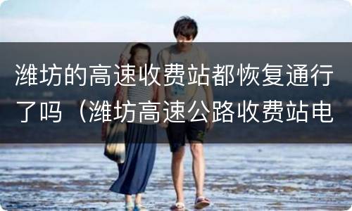 潍坊的高速收费站都恢复通行了吗（潍坊高速公路收费站电话）