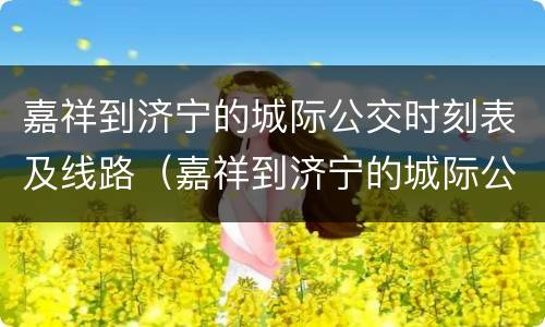 嘉祥到济宁的城际公交时刻表及线路（嘉祥到济宁的城际公交时刻表及线路图）