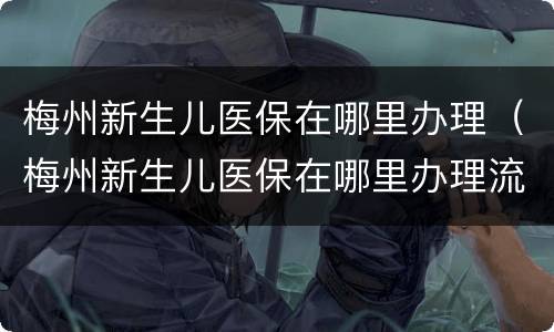 梅州新生儿医保在哪里办理（梅州新生儿医保在哪里办理流程）
