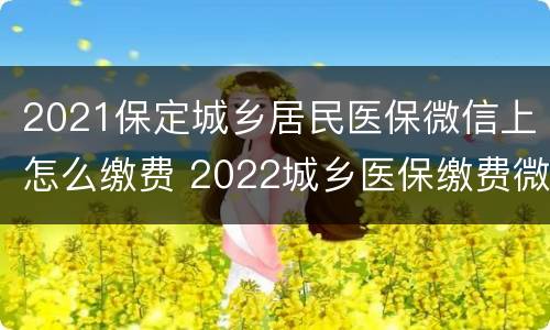 2021保定城乡居民医保微信上怎么缴费 2022城乡医保缴费微信怎么交